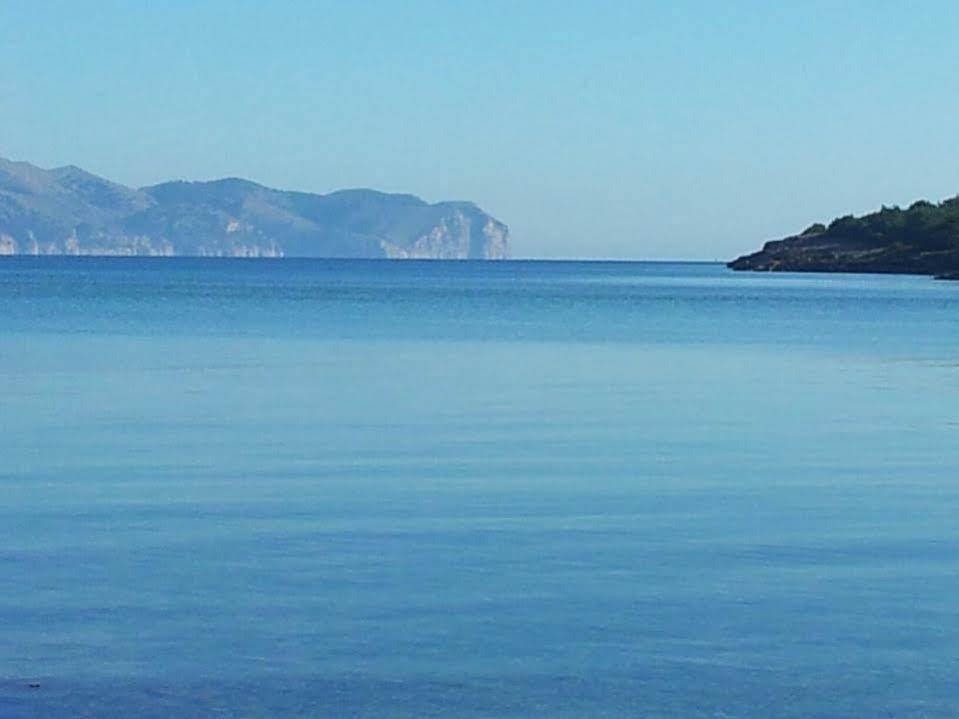 Villa Roser - Family Only Alcudia  Ngoại thất bức ảnh